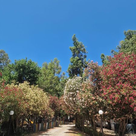 فندق Camping Pitagora روسانو المظهر الخارجي الصورة