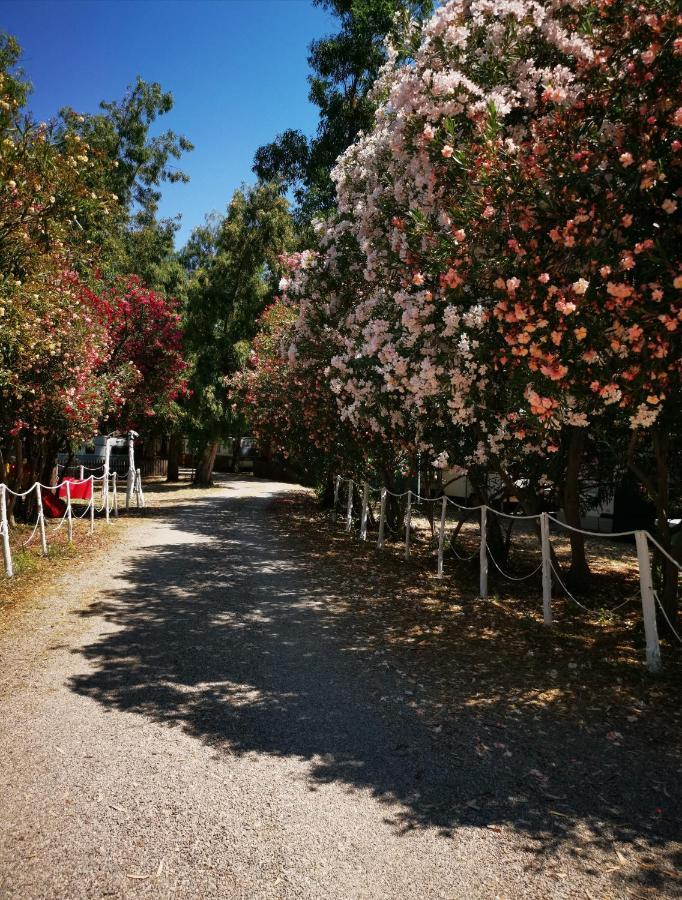 فندق Camping Pitagora روسانو المظهر الخارجي الصورة
