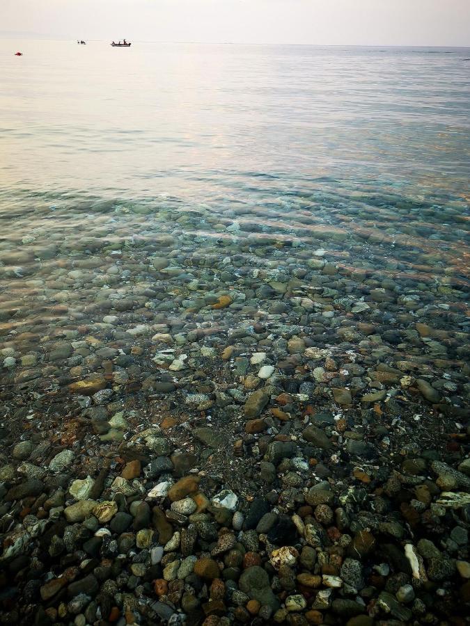 فندق Camping Pitagora روسانو المظهر الخارجي الصورة