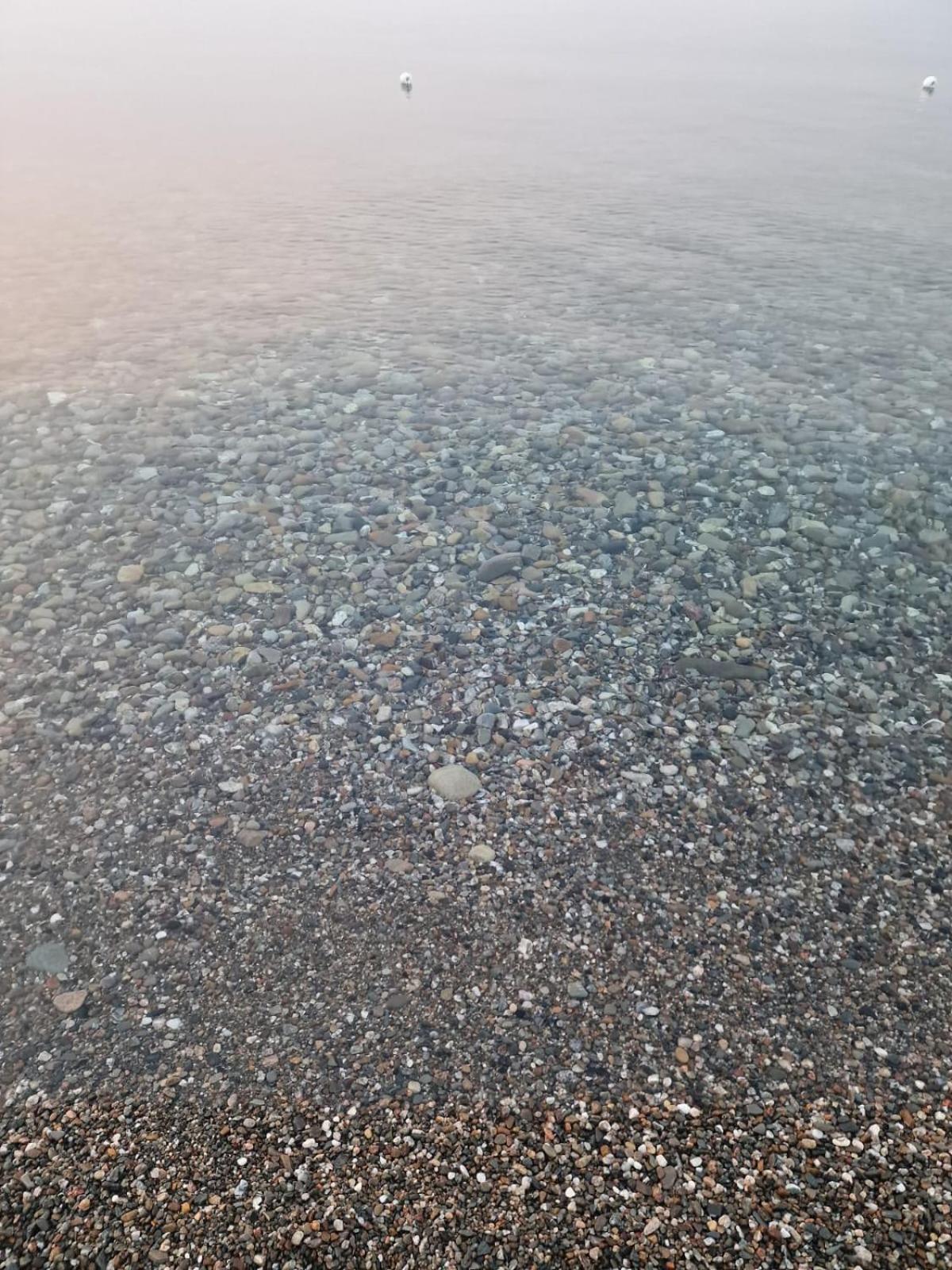 فندق Camping Pitagora روسانو المظهر الخارجي الصورة