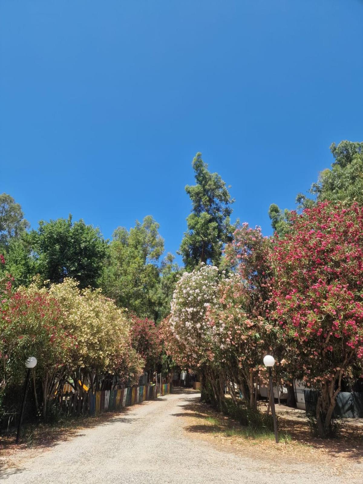 فندق Camping Pitagora روسانو المظهر الخارجي الصورة